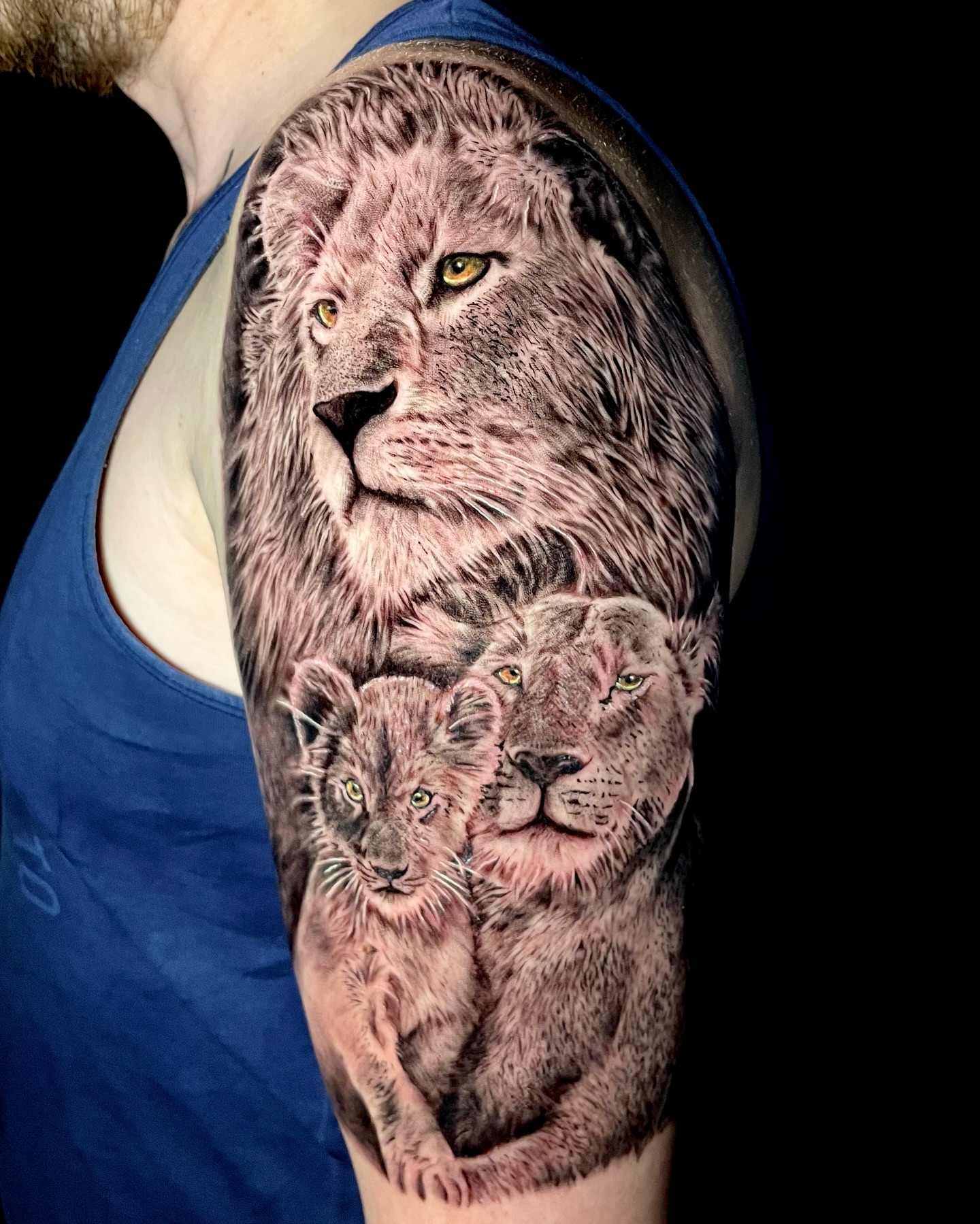 Lion Family Strength Tattoo lion family tattoos tattoo
