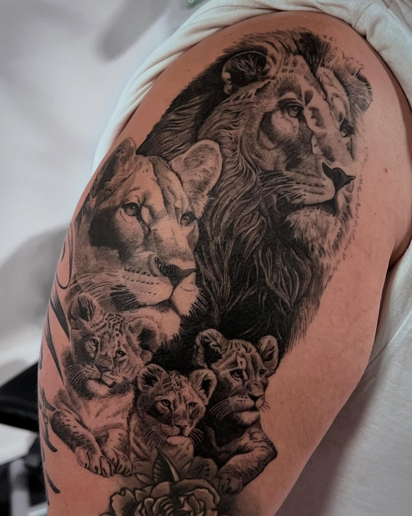 Lion Family With Three Cubs Tattoo lion family tattoos tattoo