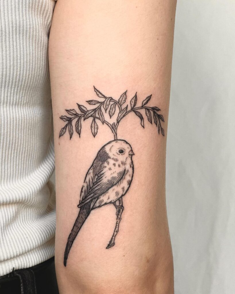 Long-Tailed Tit with Branch Crown Tattoo bird tattoo ideas for women with meaning tattoo