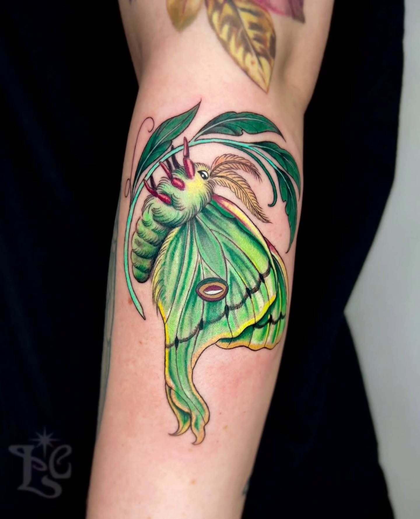 Luna Moth Tattoo nature tattoos for women tattoo