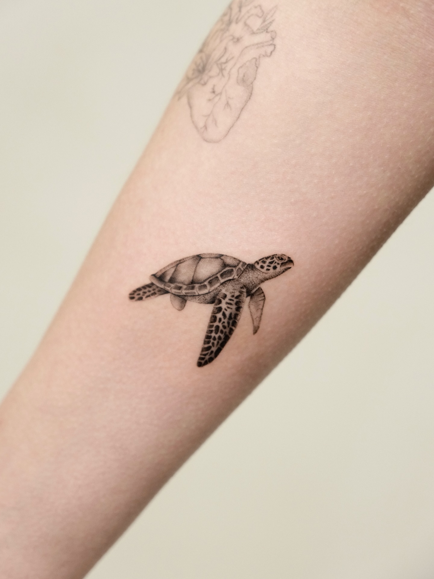 Minimal Realistic Turtle Tattoo small turtle tattoo ideas tattoo