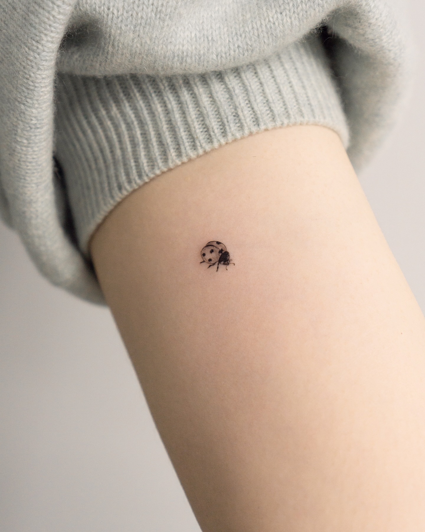 Framed Pair Of Ladybugs Tattoo