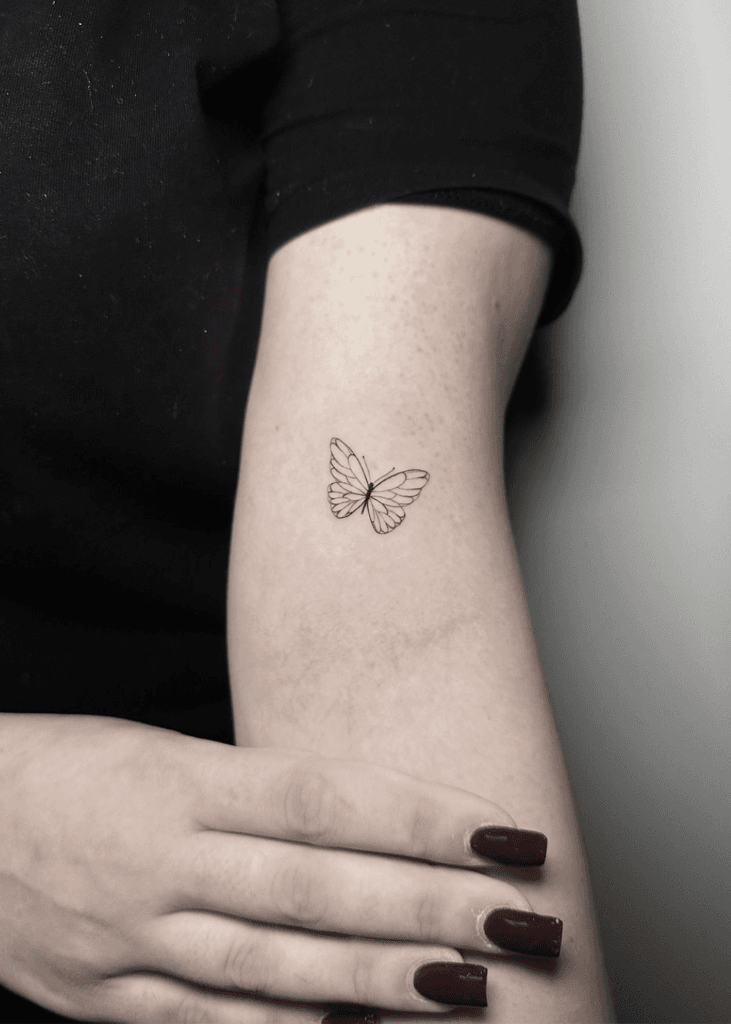 Minimalist Line Work Butterfly