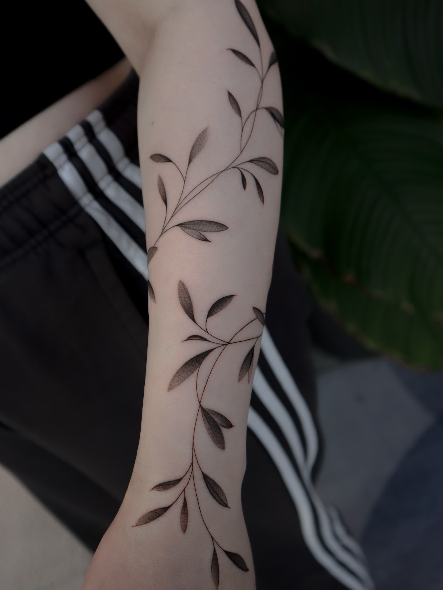 Trailing Vine Tattoo on the Upper Arm vine tattoos tattoo