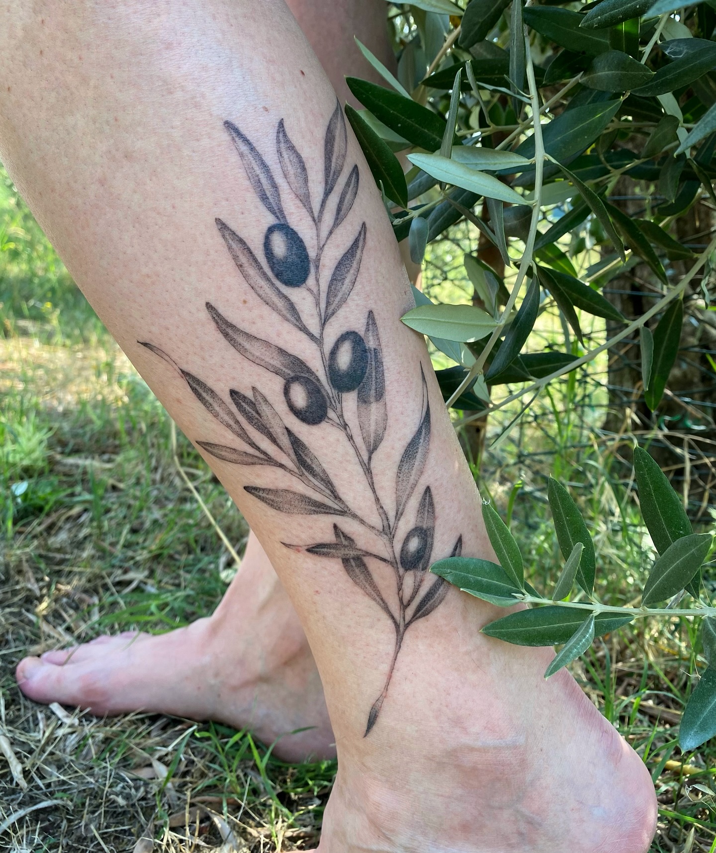 Olive Branch Leg Tattoo nature tattoos for women tattoo
