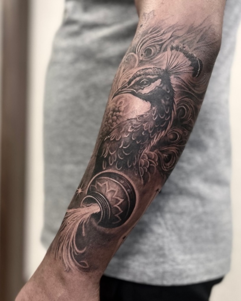 Black And Gray Peacock Feather Tattoo