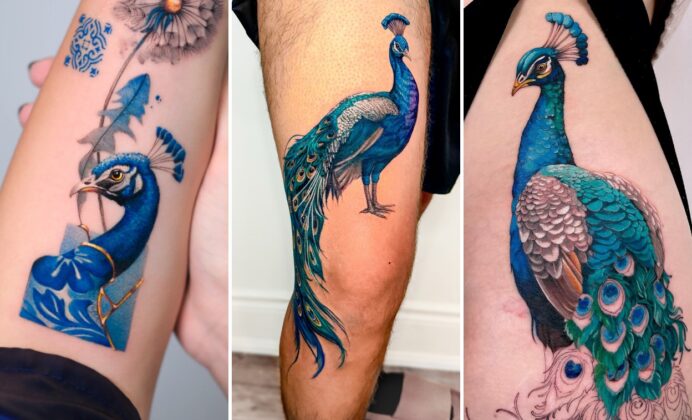 15+ Aesthetic Peacock Tattoo Ideas Showcasing Peacock Artistry