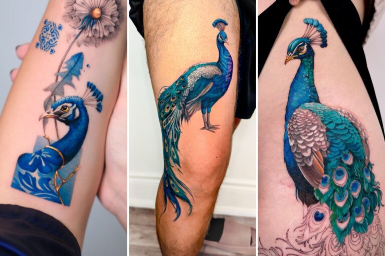 Aesthetic peacock tattoo designs and delicate ink ideas collage