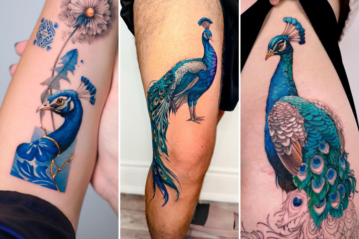 Aesthetic peacock tattoo designs and delicate ink ideas collage