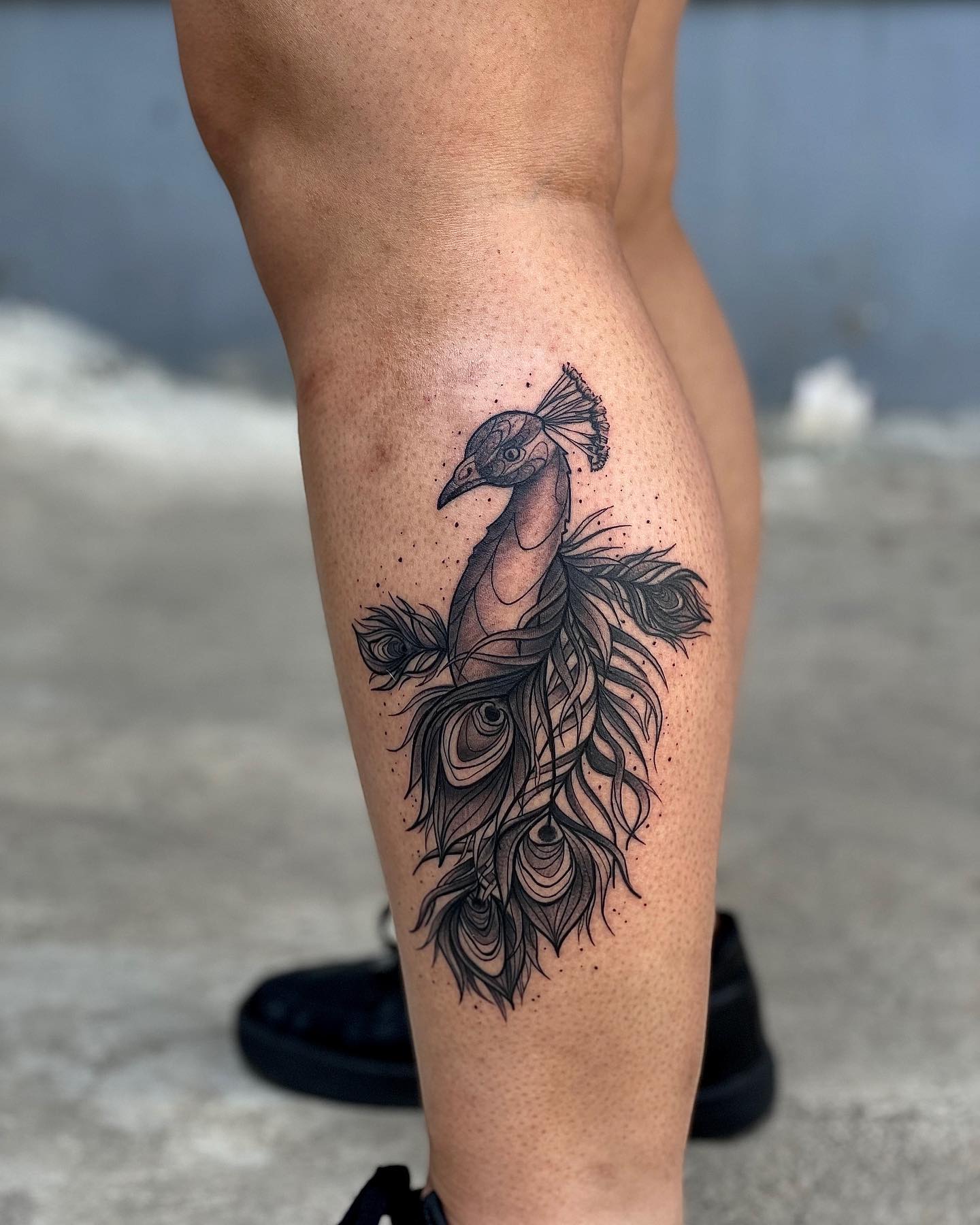 Fine Line Peacock Feather Tattoo