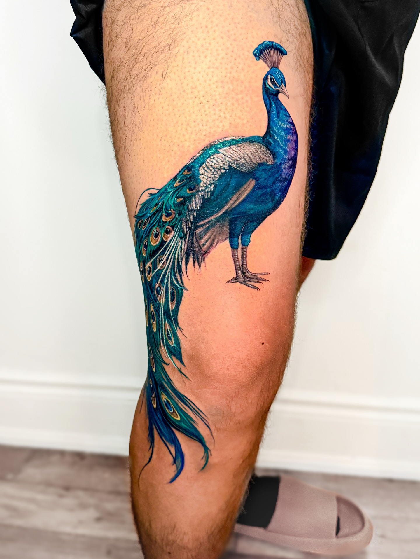 Full-Length Realistic Peacock Tattoo