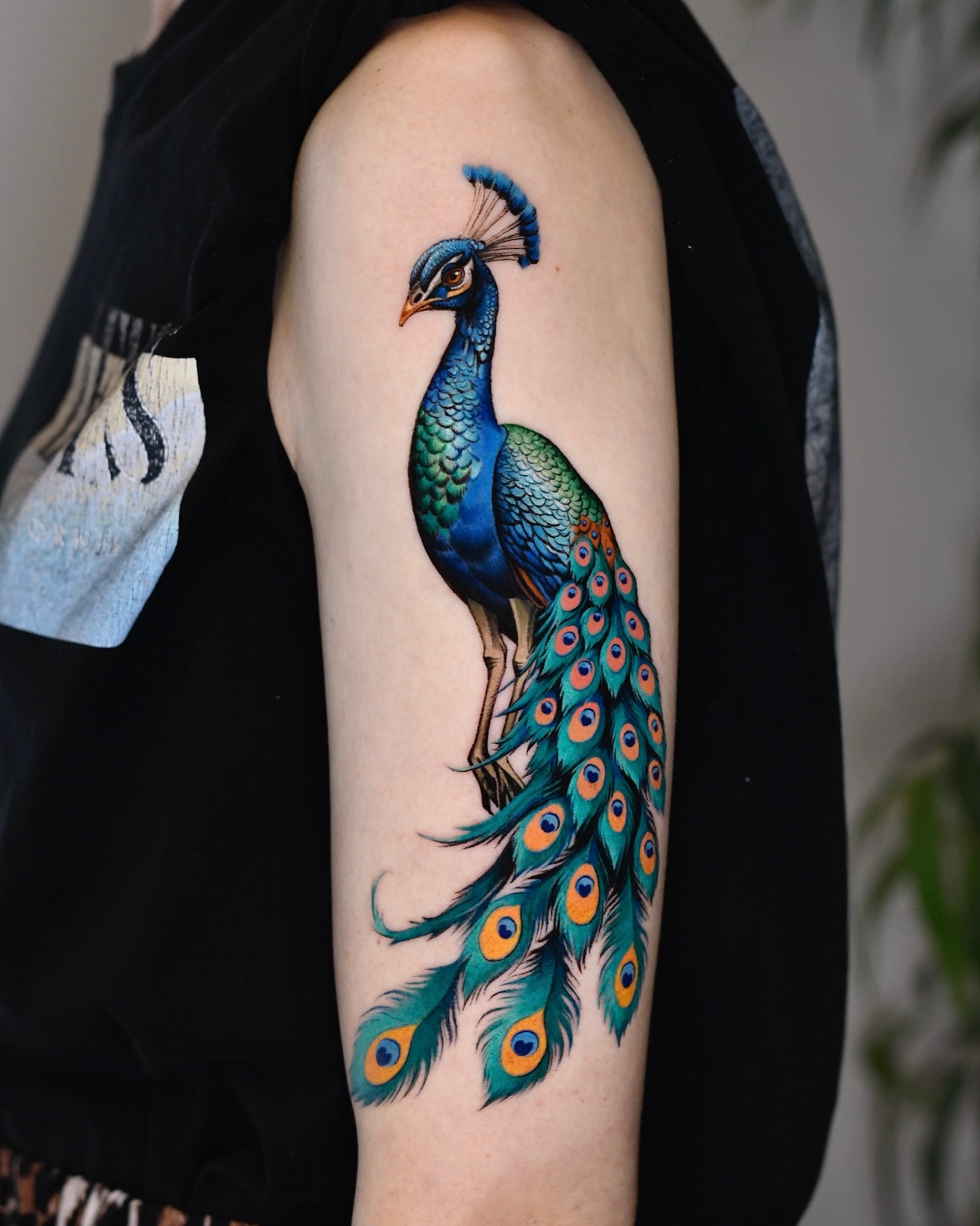 Long Tail Peacock Arm Tattoo