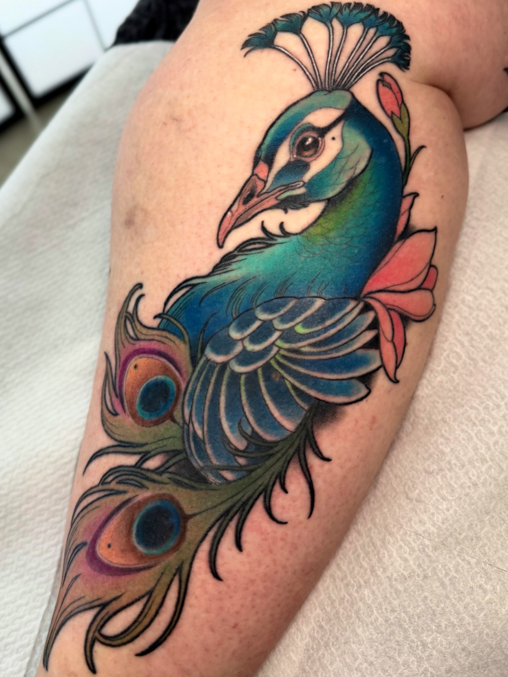 Traditional Peacock Feather Tattoo