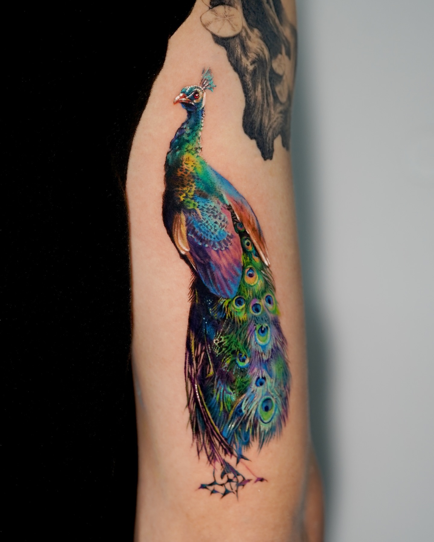 Vibrant Watercolor Peacock Tattoo