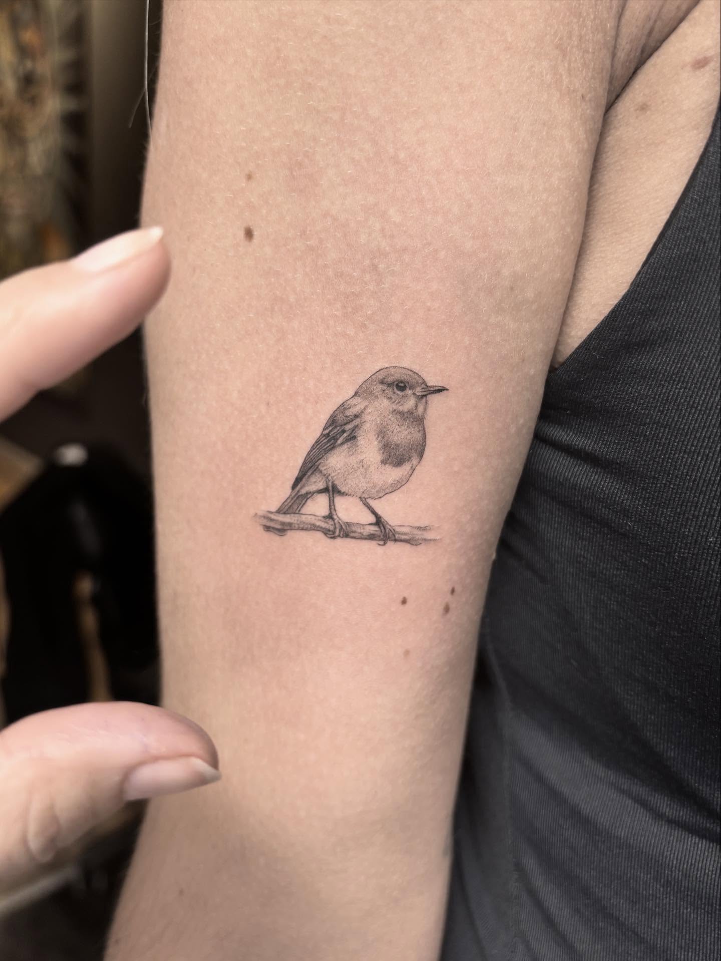 Perched Songbird Tattoo bird tattoos ideas for women tattoo