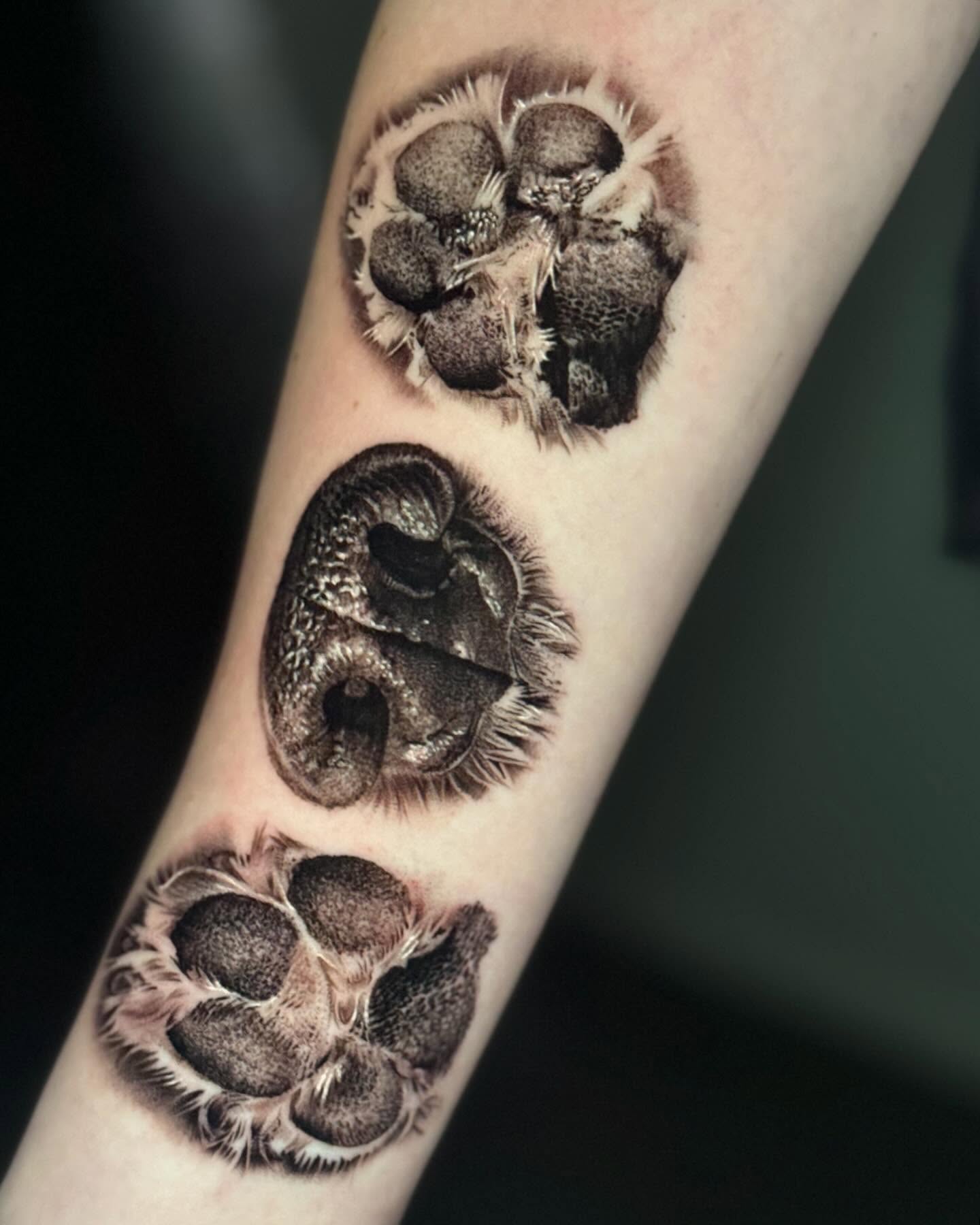 Realistic Dog Nose and Paw Tattoo dog paw tattoos tattoo