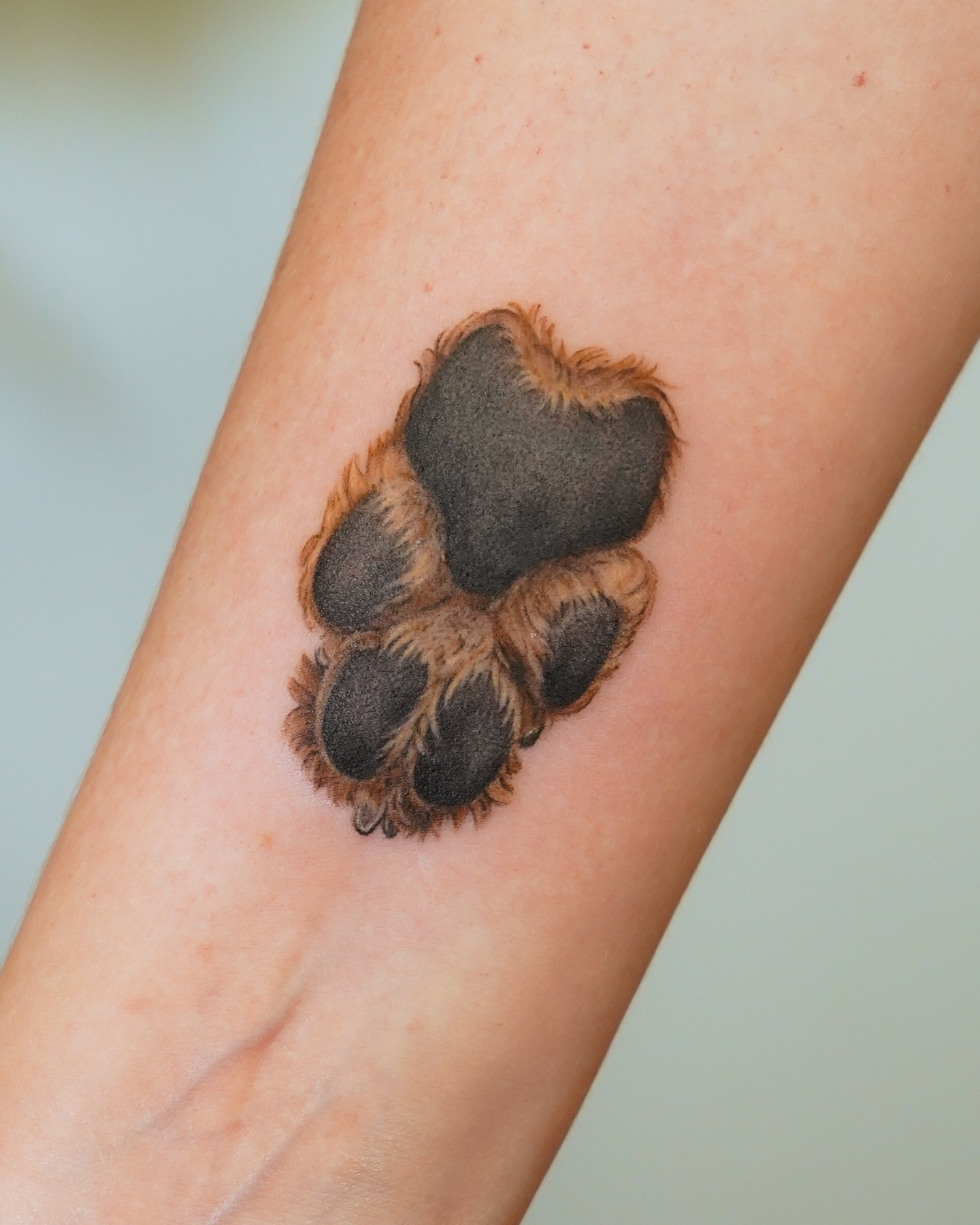Realistic Furry Dog Paw Tattoo dog paw tattoos tattoo