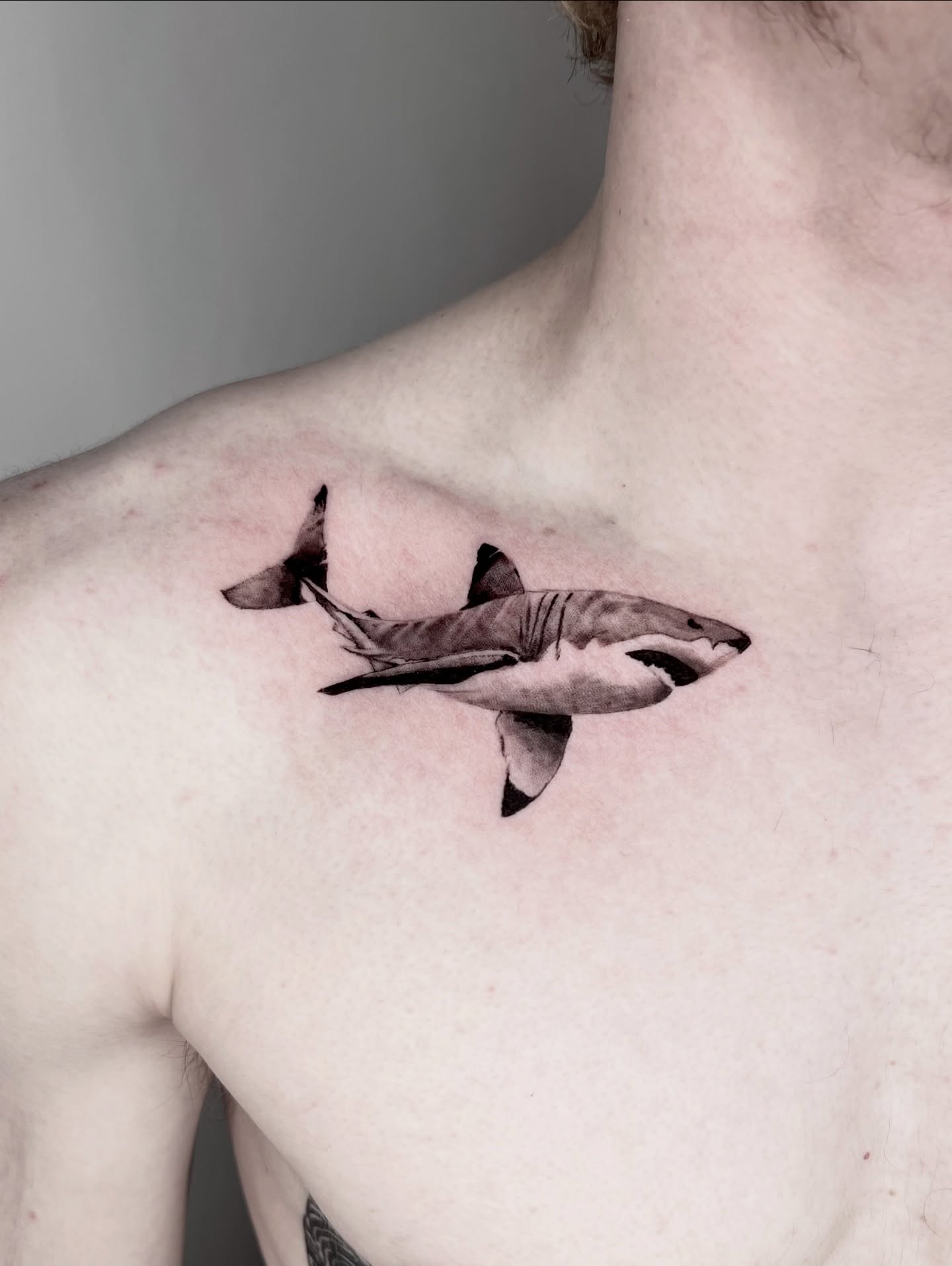 Three Swimming Shark Shadow Tattoo