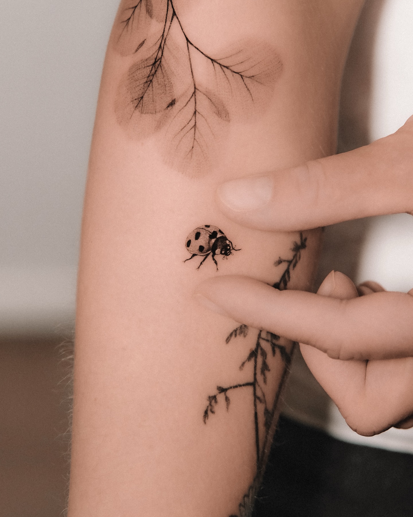 Realistic Ladybug On Botanical Stem Tattoo