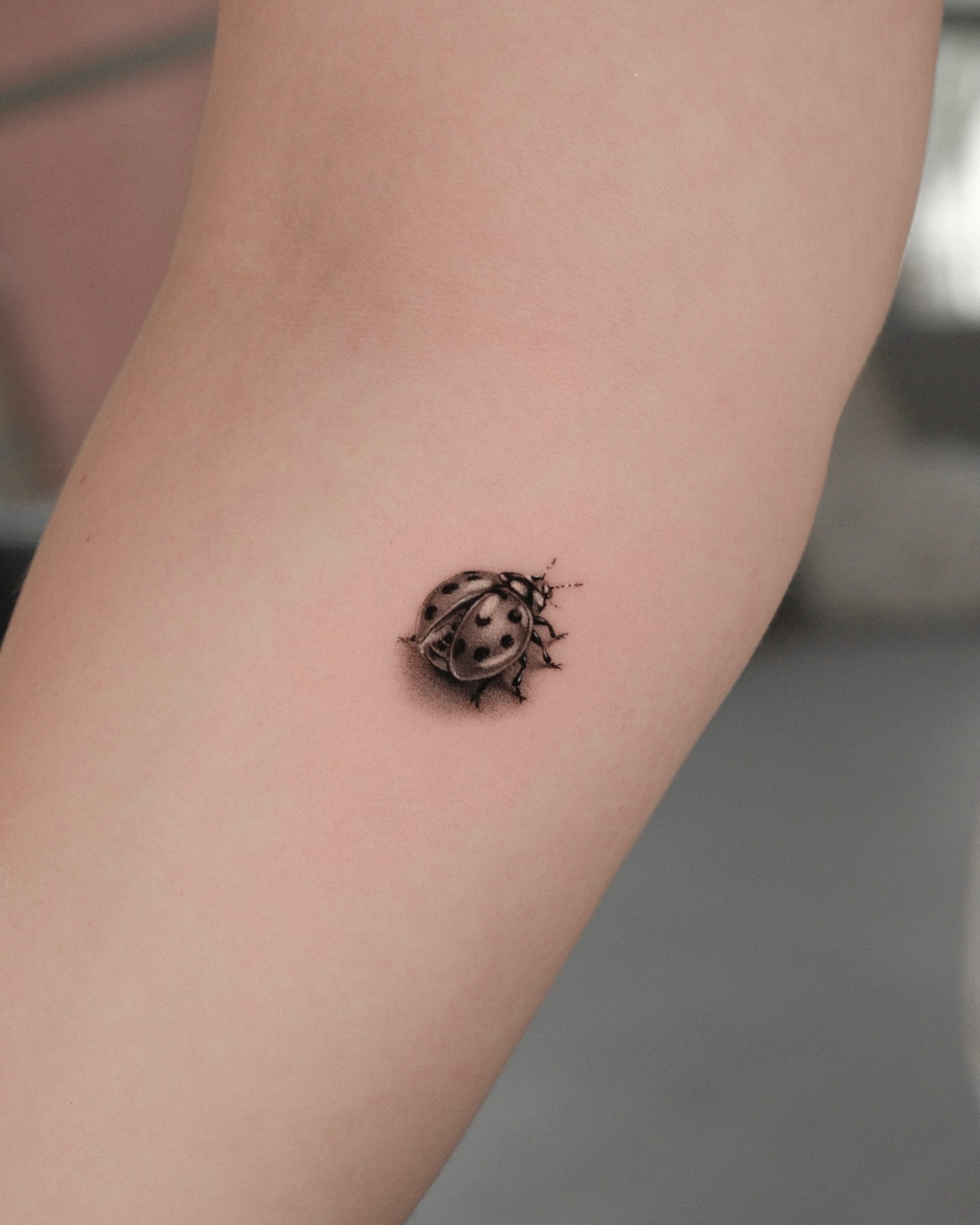 Matching Ladybug Pair Tattoo
