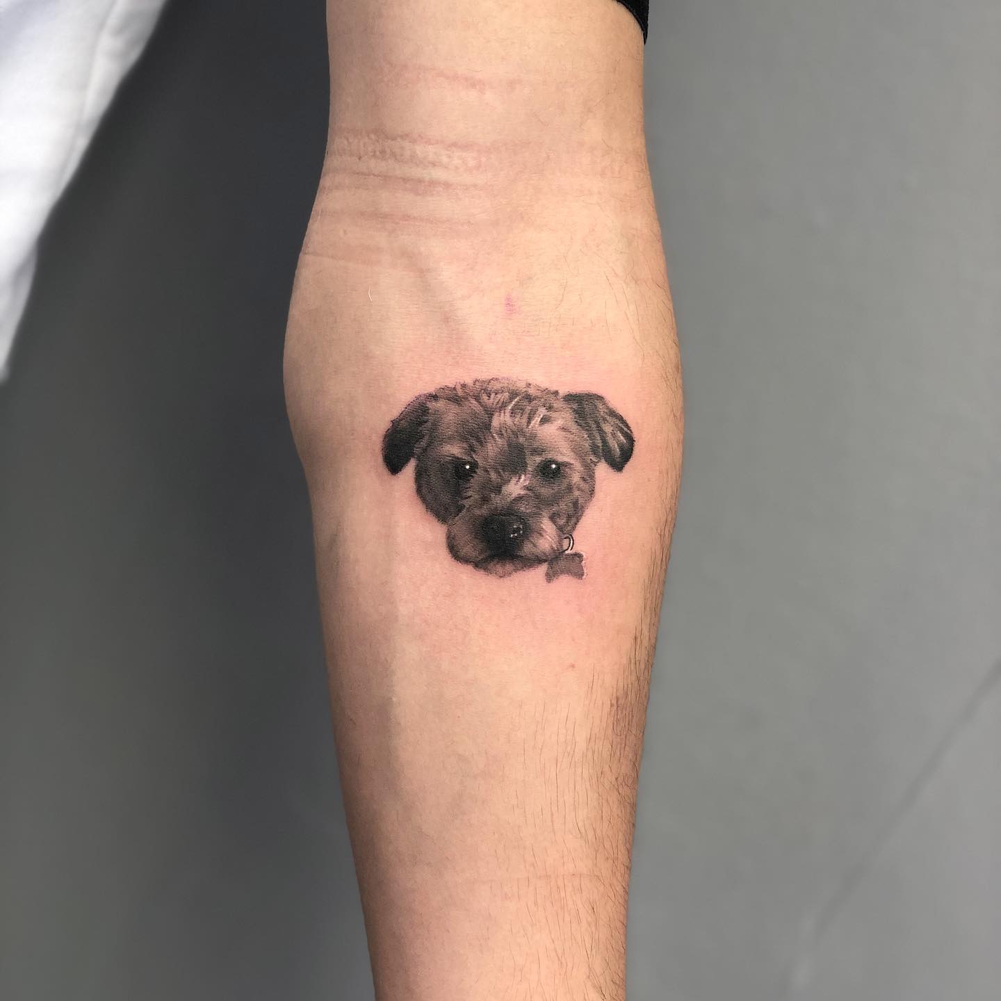 Realistic Puppy Portrait Forearm Tattoo