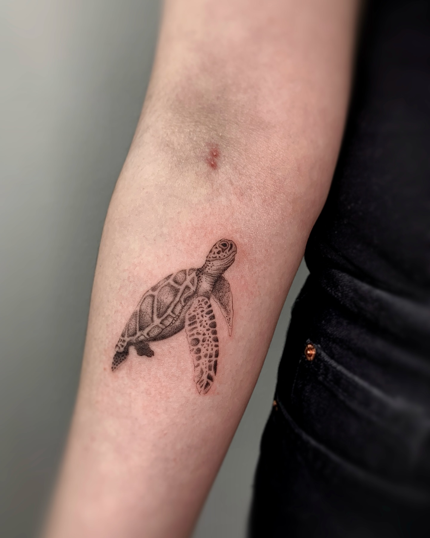 Realistic Sea Turtle Tattoo small turtle tattoo ideas tattoo