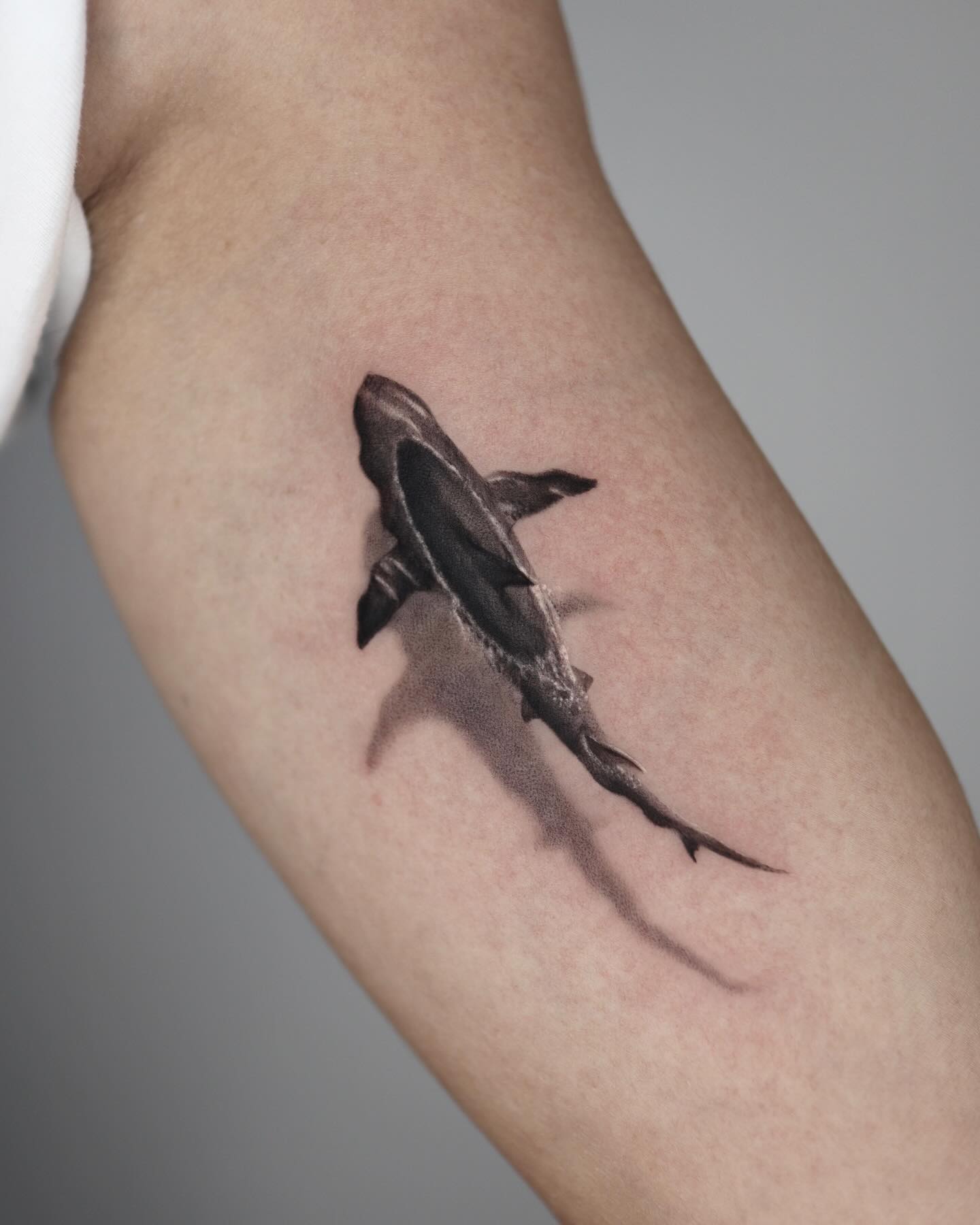 Realistic Shark With Cast Shadow Tattoo