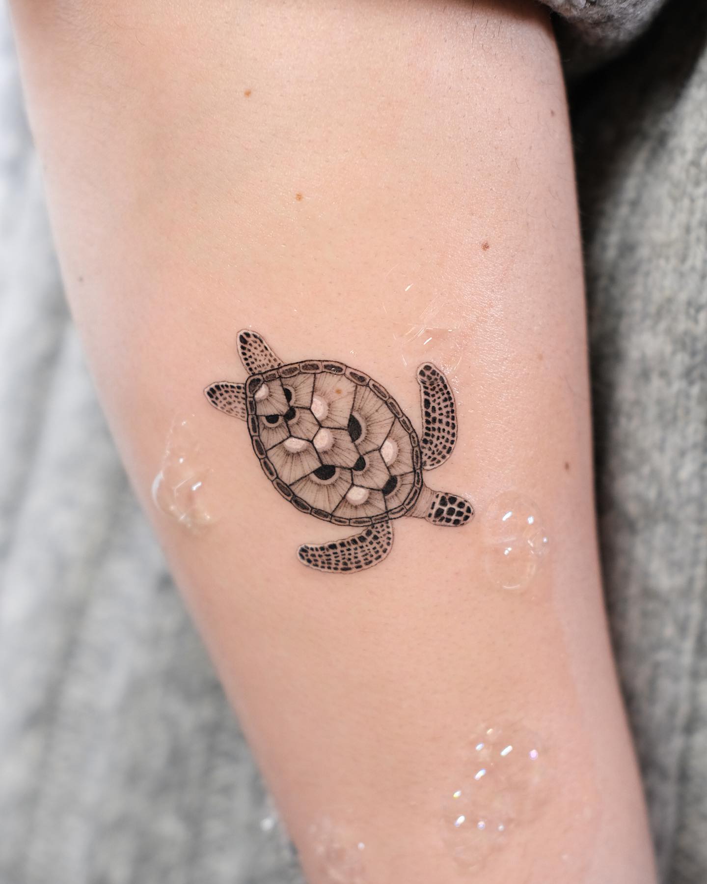 Sacred Mandala Pattern Turtle Shell sea turtle tattoo