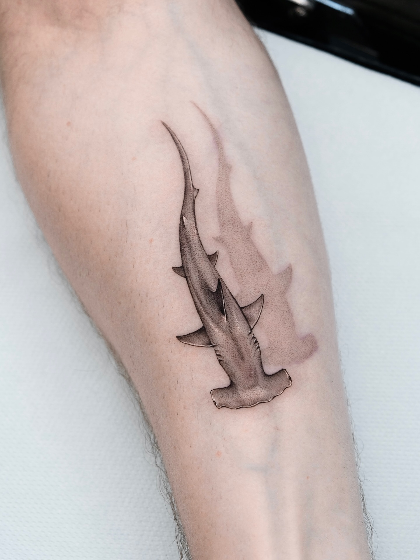 Bold Traditional Tiger Shark Tattoo