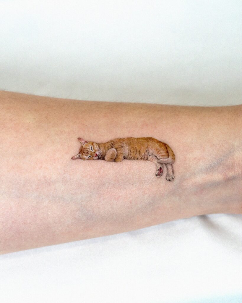 Sleepy Ginger Cat Tattoo small cat tattoos tattoo