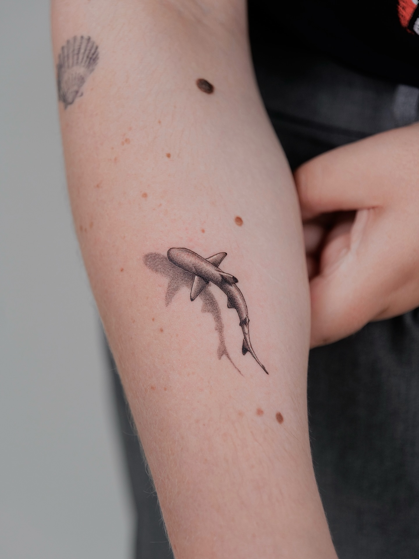 Realistic Pair Of Swimming Shark Tattoo