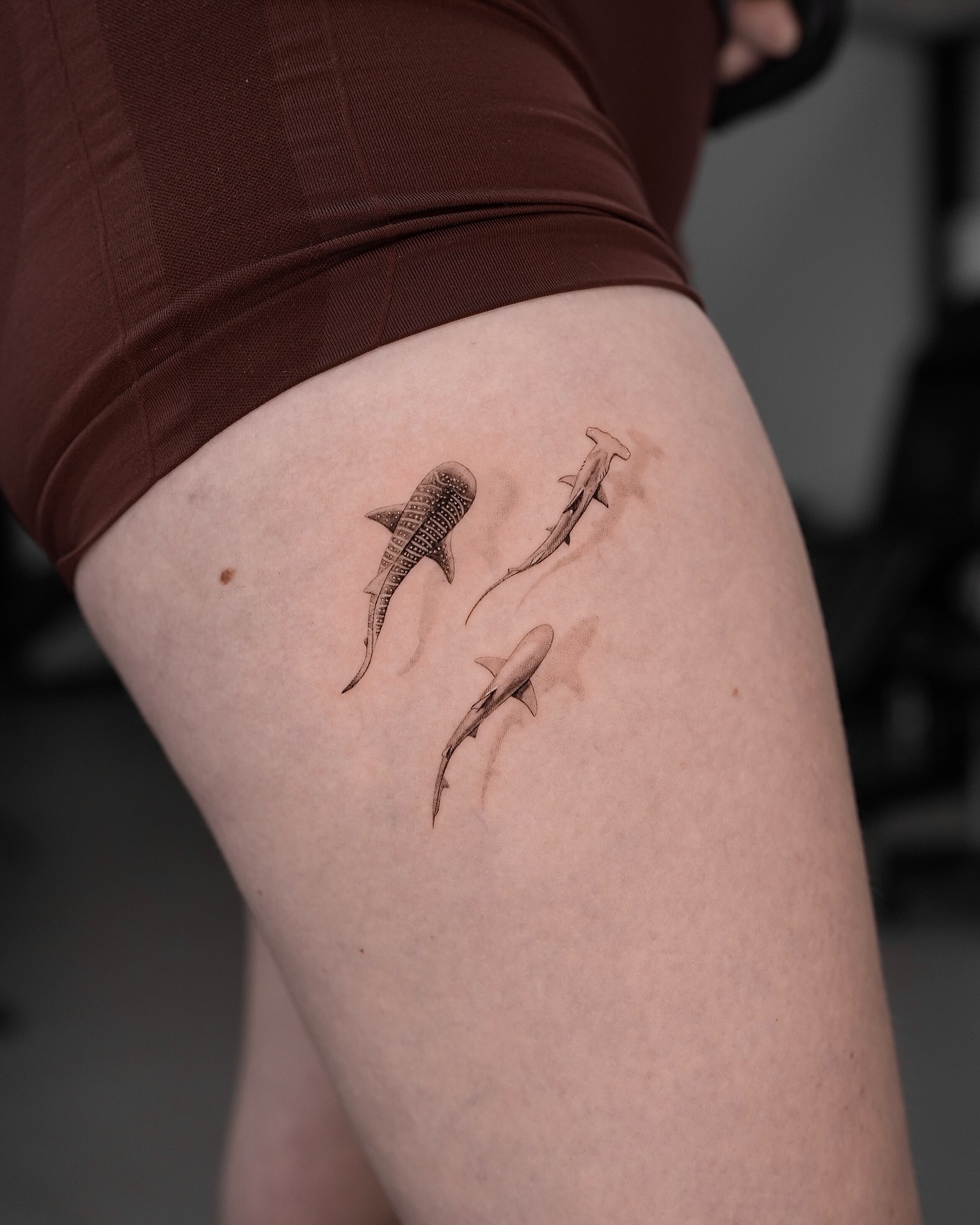 Colorful Shark Silhouette Pair Tattoo