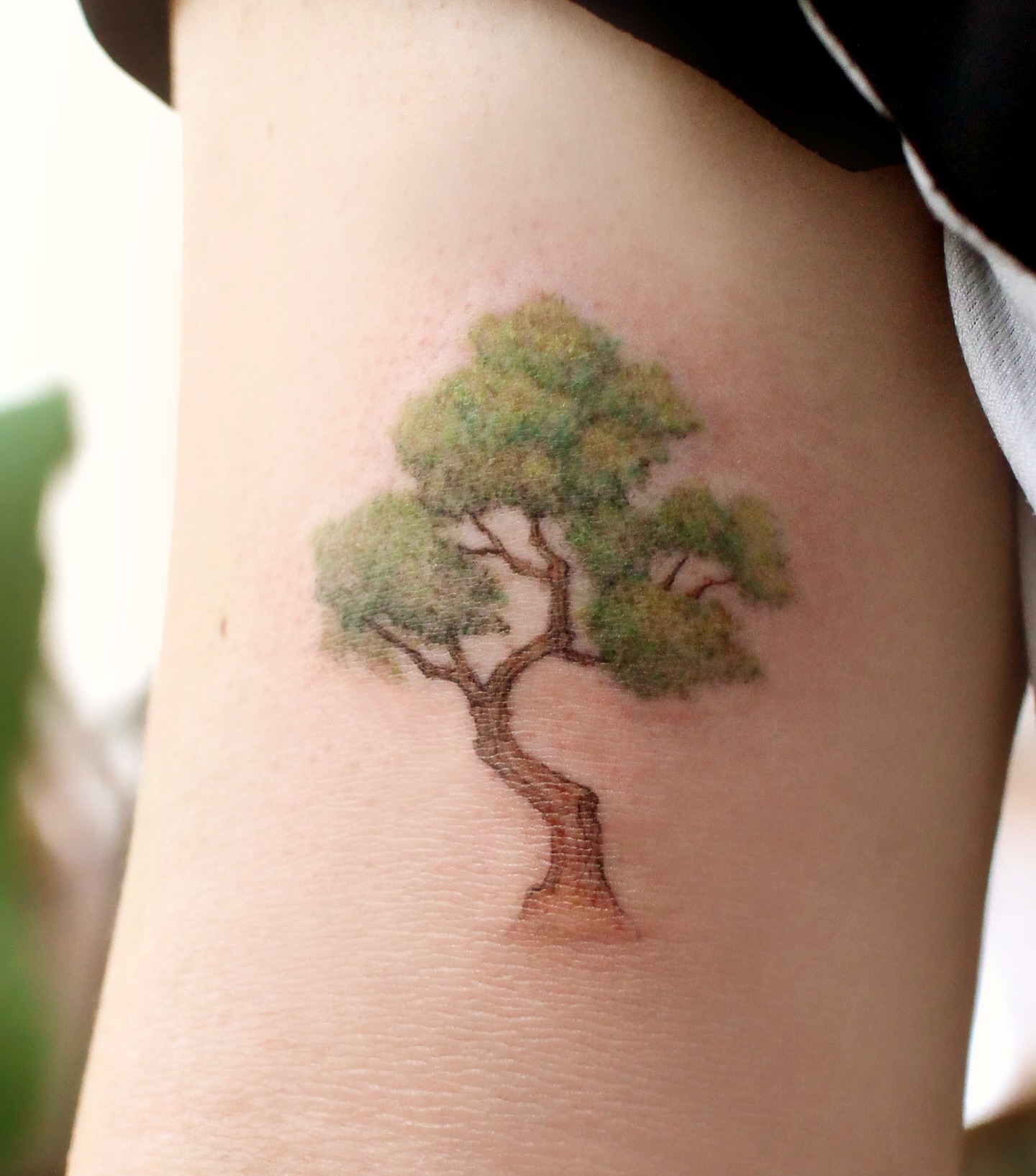 Small Tree Tattoo nature tattoos for women tattoo