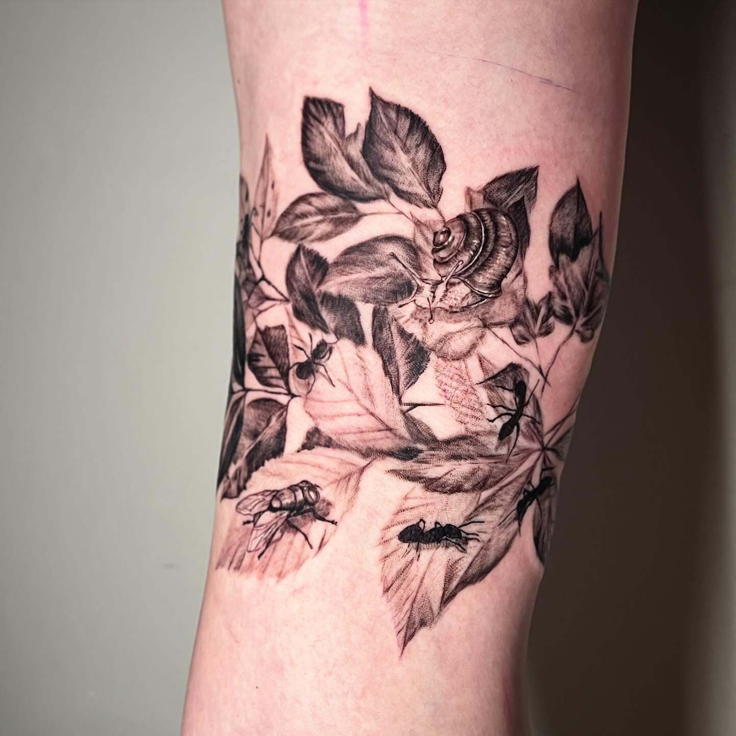 Snail and Insects Nature Tattoo nature tattoos for women tattoo