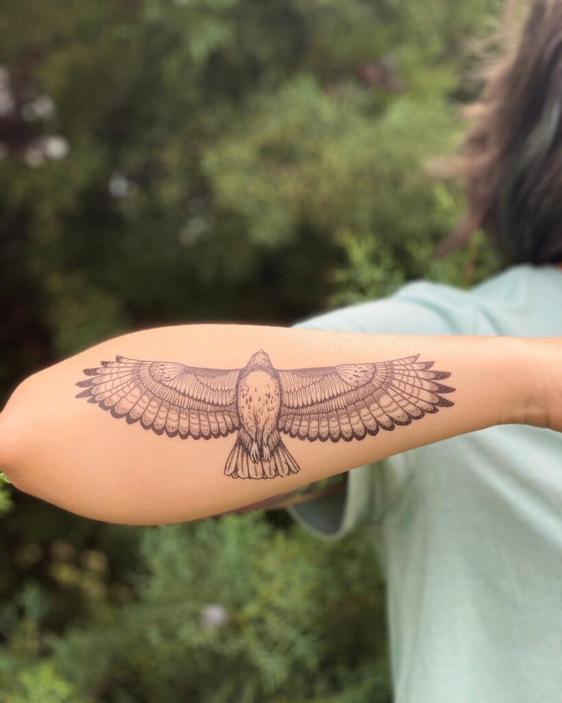 Soaring Hawk Forearm Tattoo bird tattoo ideas for women with meaning tattoo