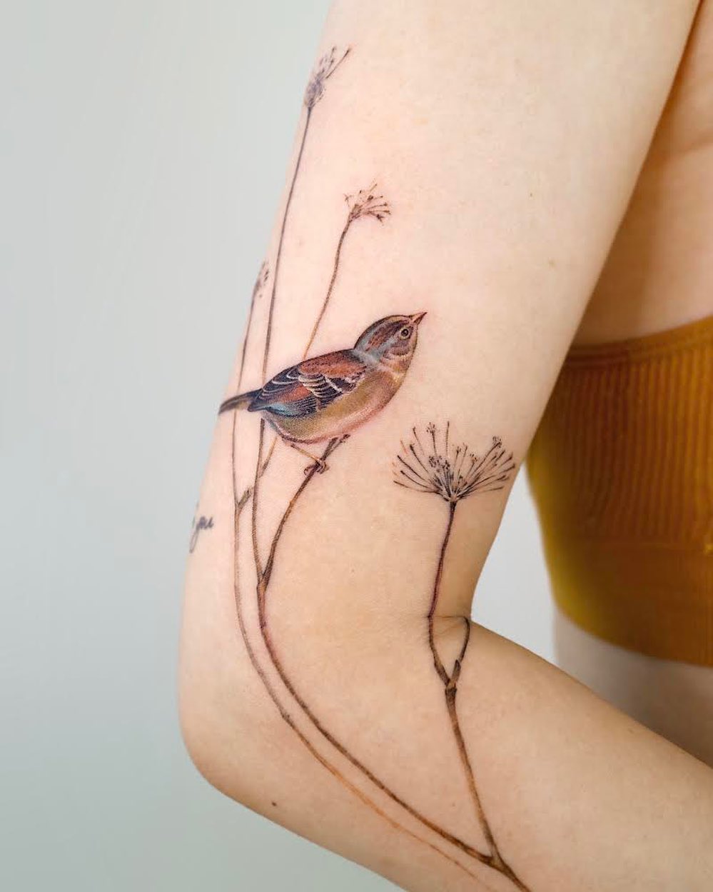Songbird on Wildflower Stems Tattoo bird tattoos ideas for women tattoo