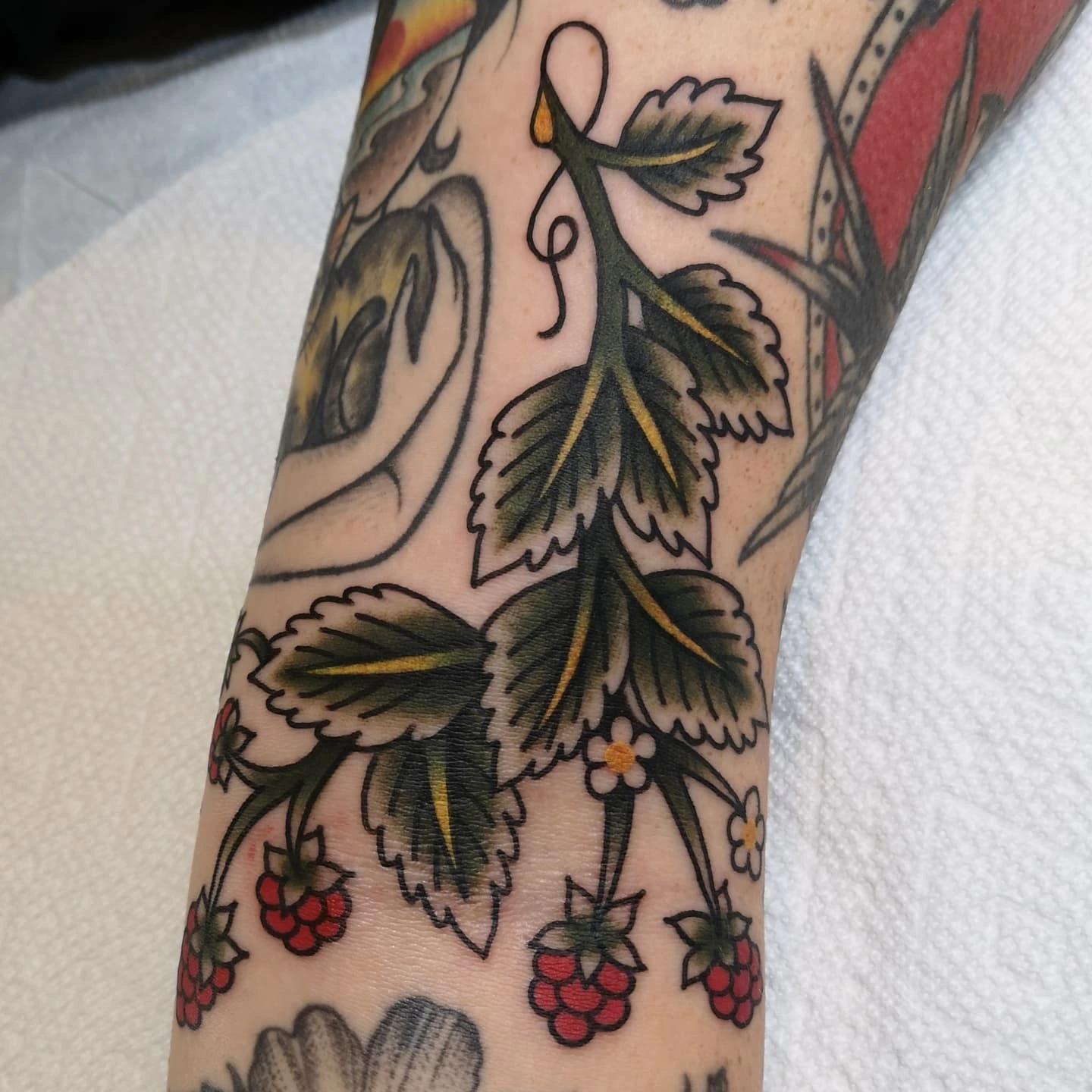 Raspberry Vine Gap Filler Tattoo