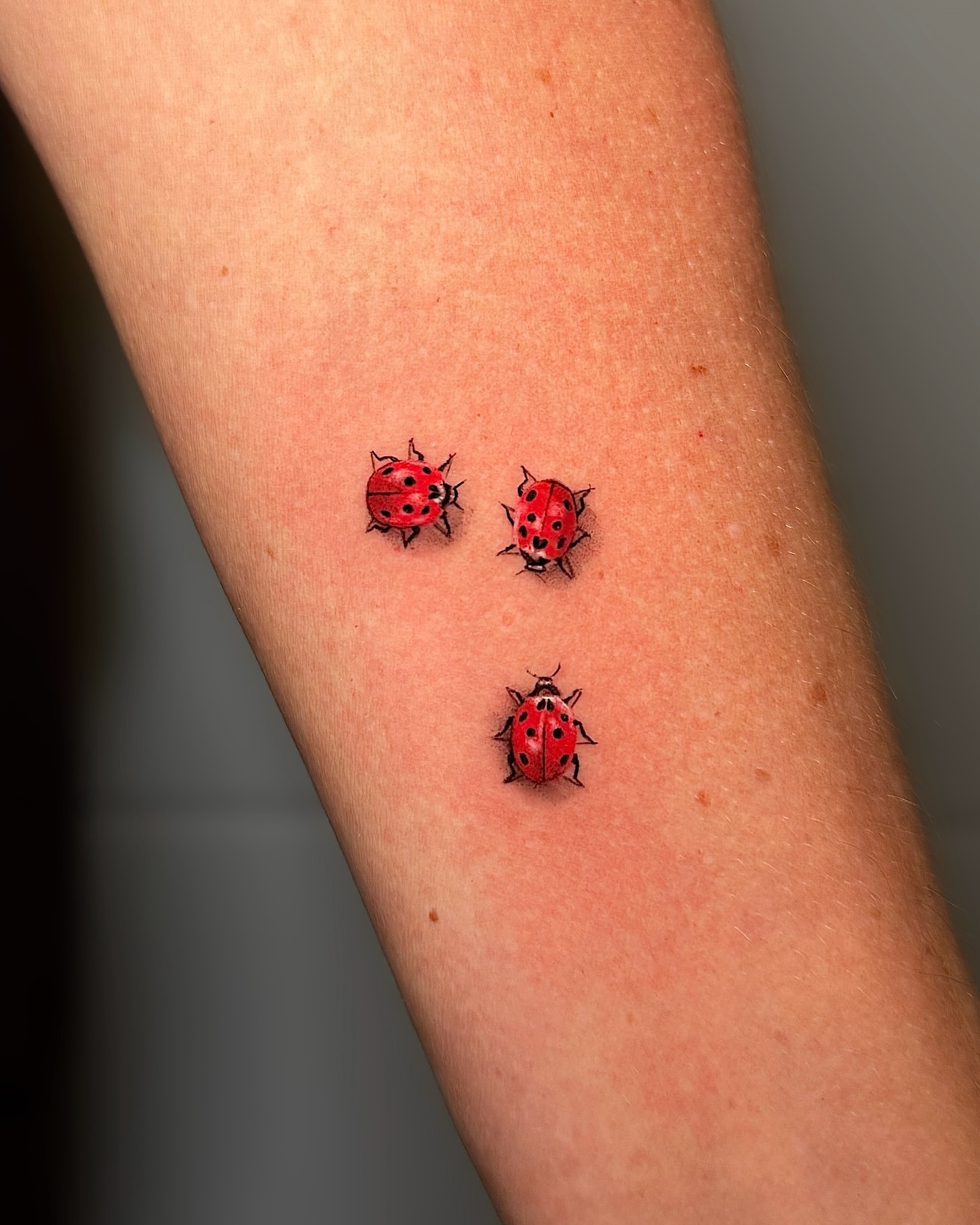 Black And Grey Ladybug Tattoo