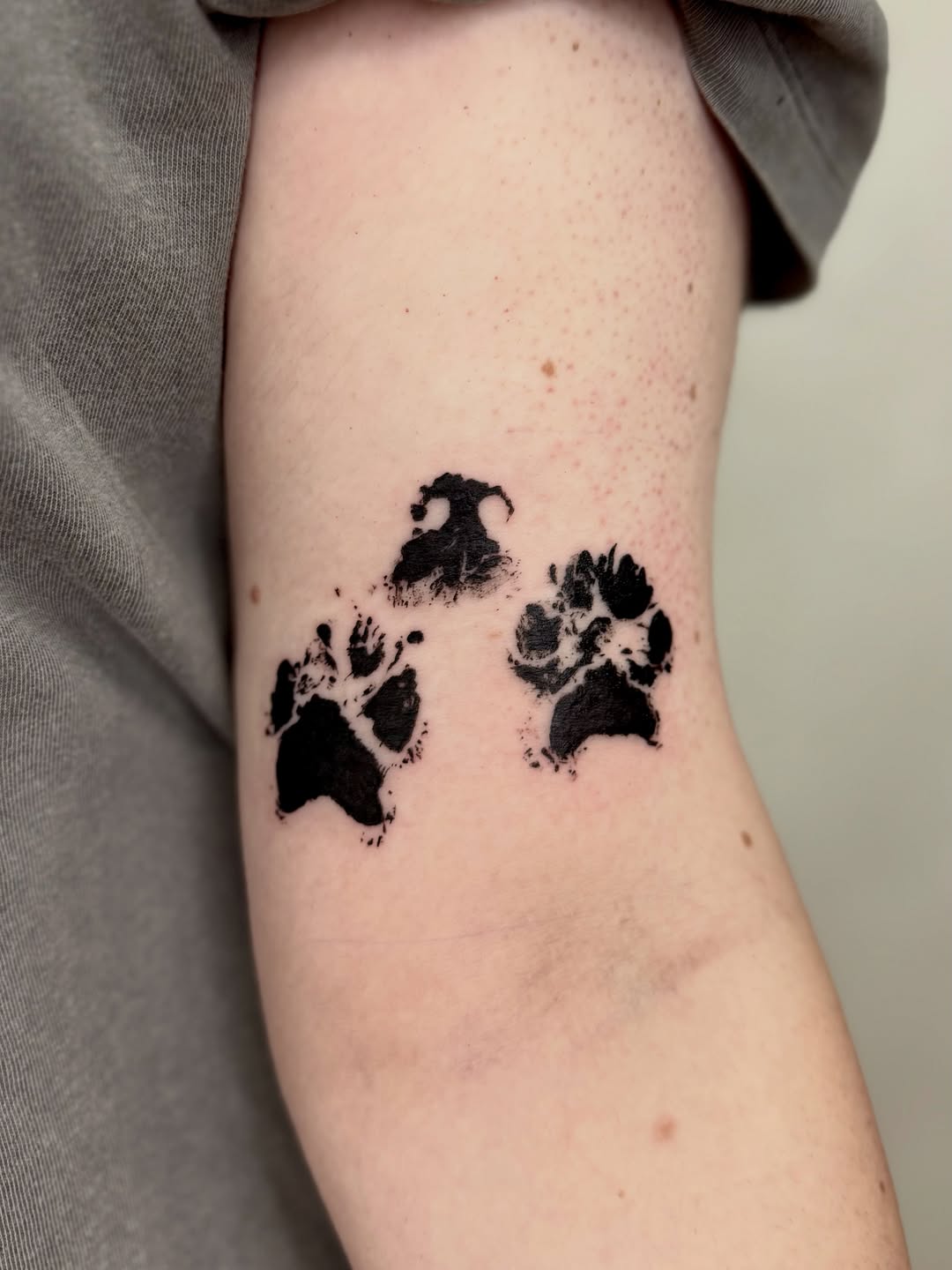 Teddy Bear Pawprint Tattoo pawprint tattoo ideas tattoo