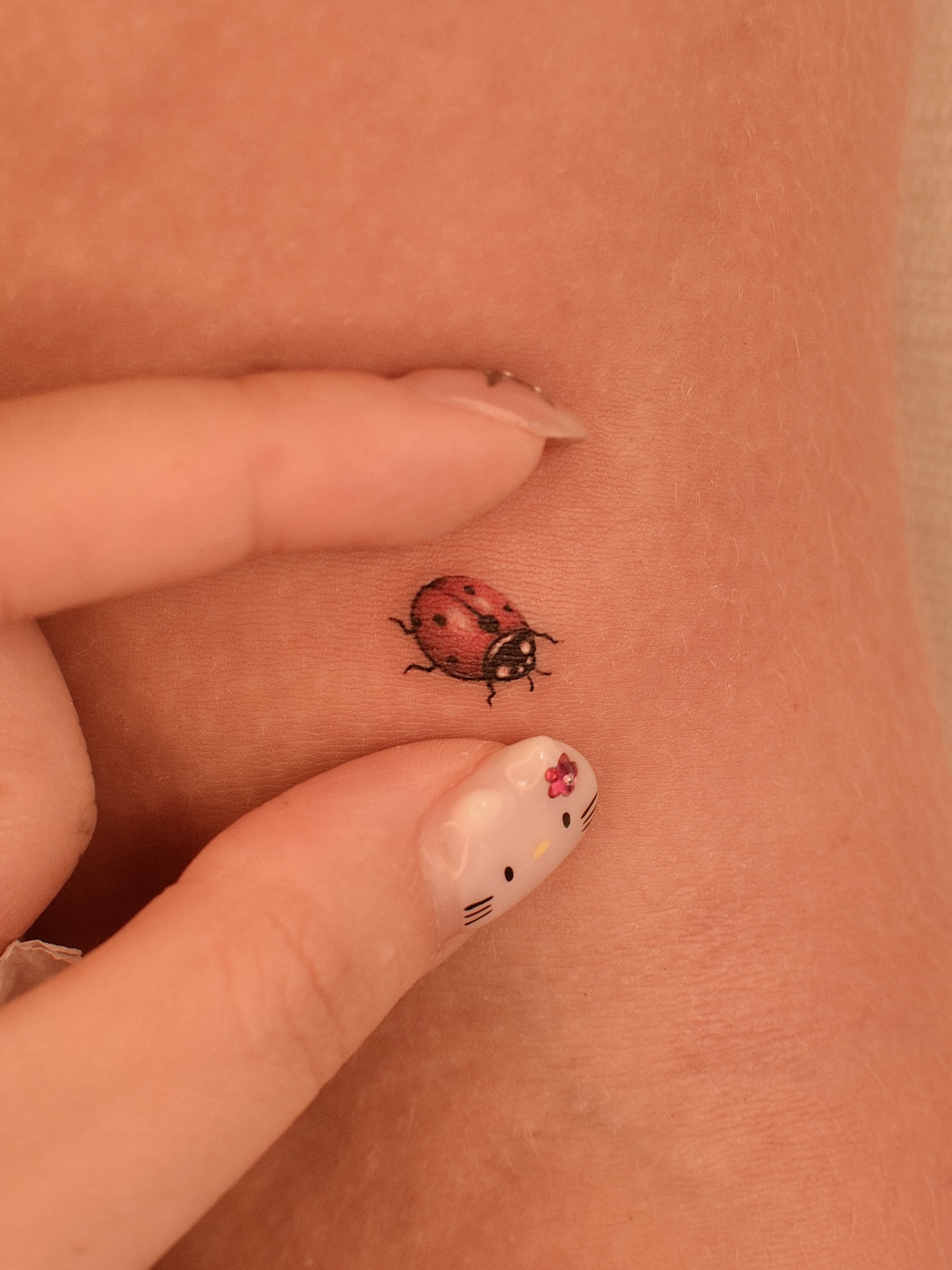 Ladybug On Flower Stem Tattoo