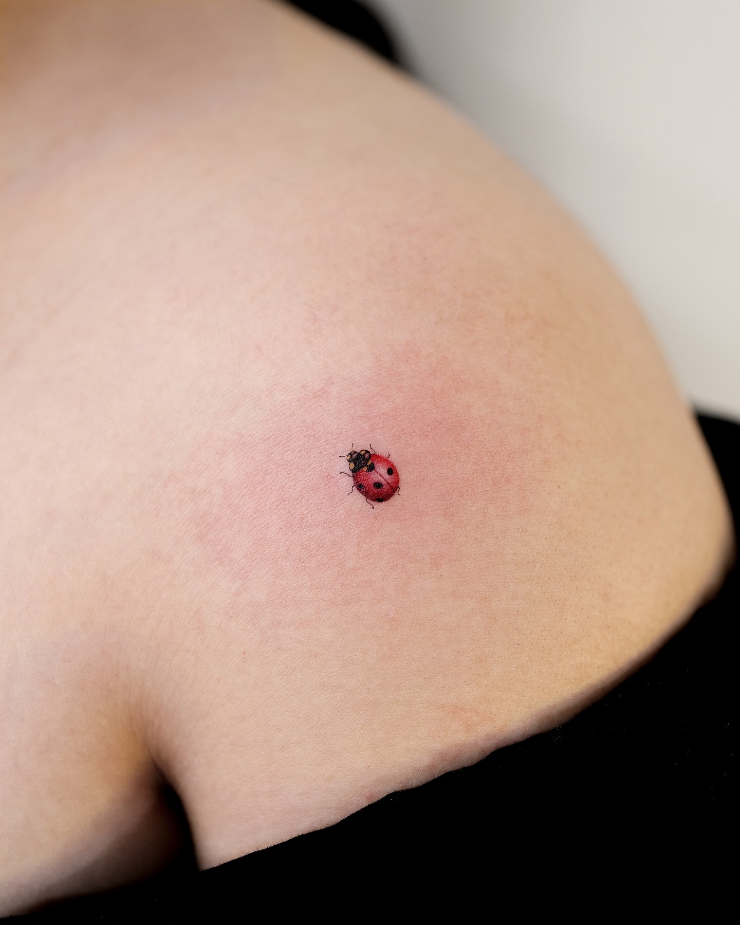 Three-Stage Ladybug Transformation Tattoo