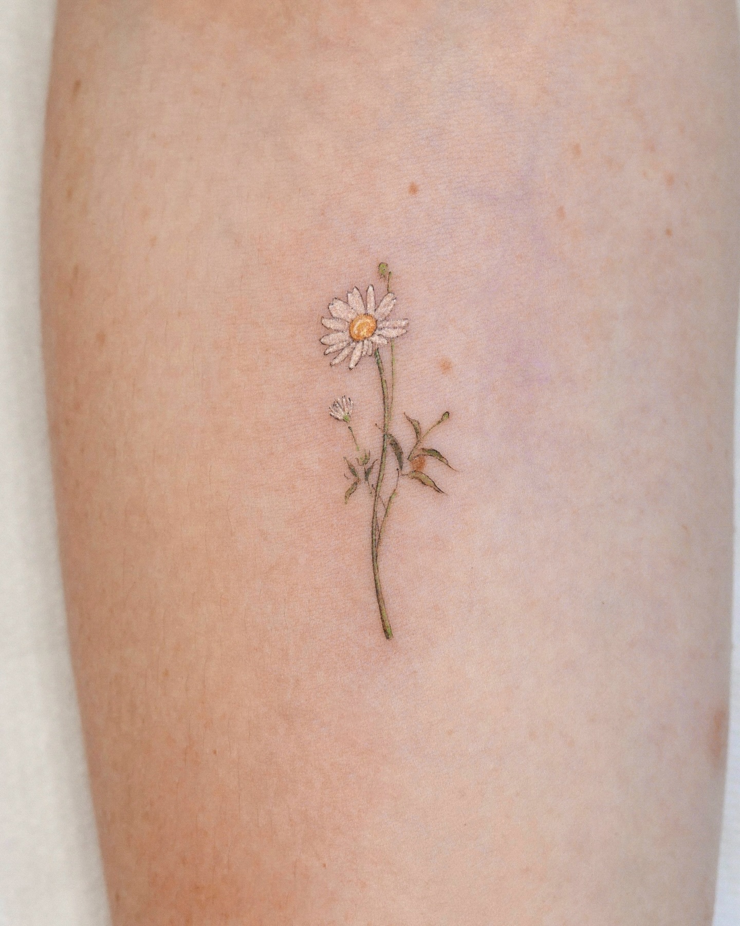 Tiny Daisy Tattoo With Falling Petals daisy tattoo ideas tattoo