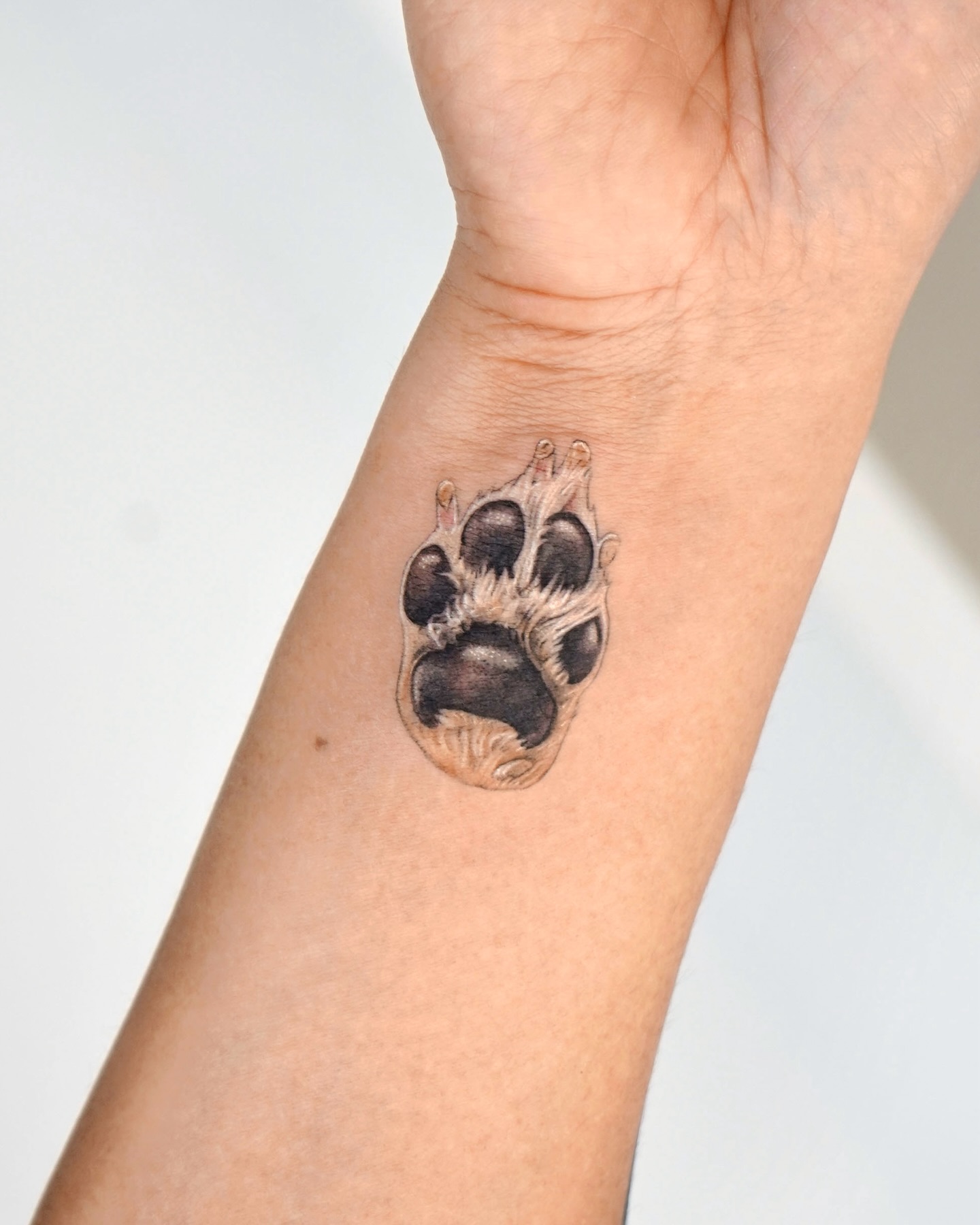 Tiny Wrist Dog Paw Tattoo dog paw tattoos tattoo