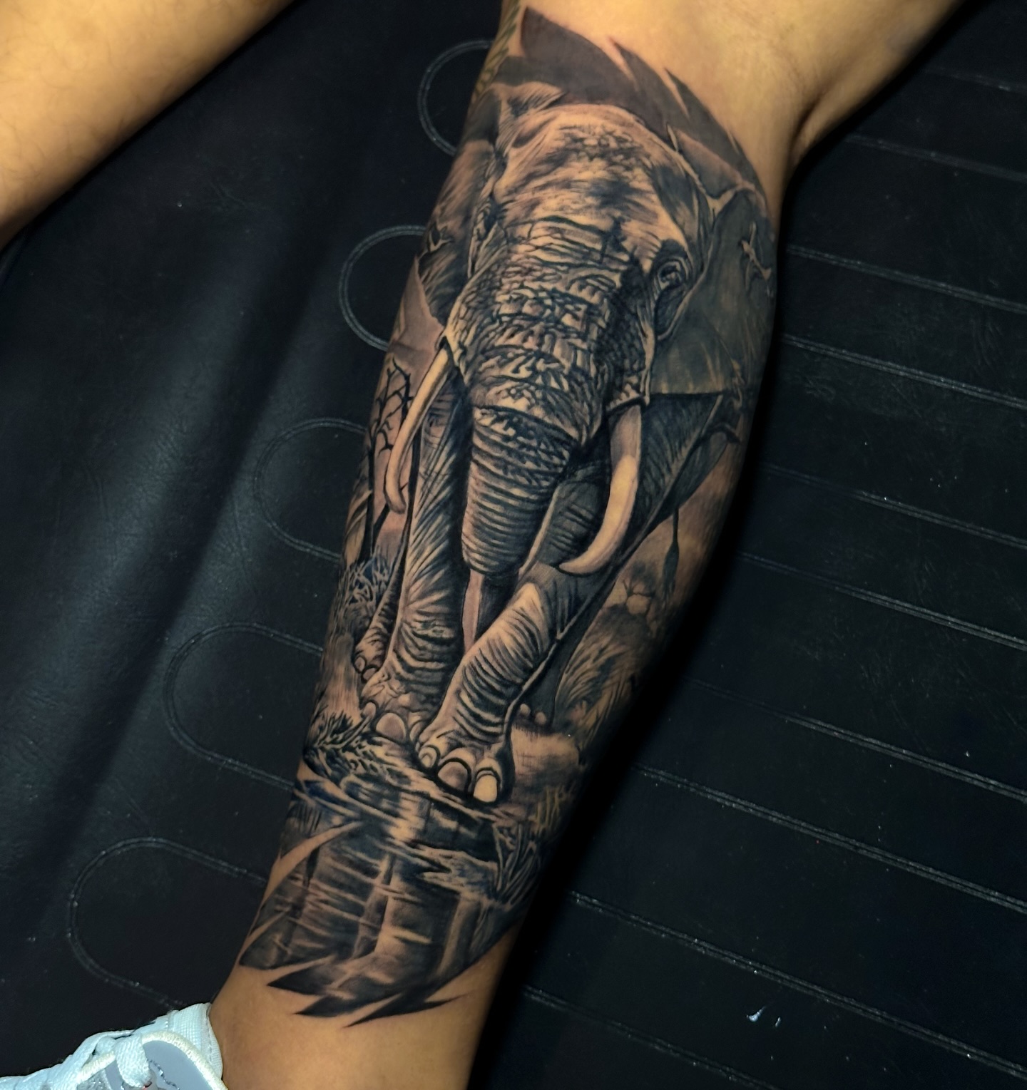 Majestic Elephant Wilderness Tattoo