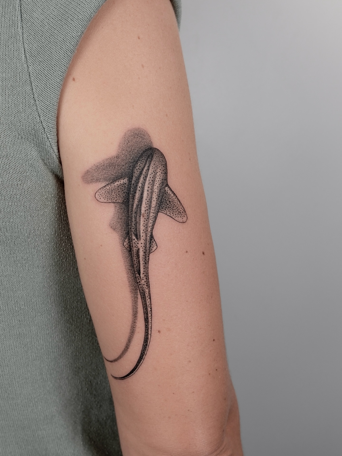 Diving Shark With Shadow Tattoo