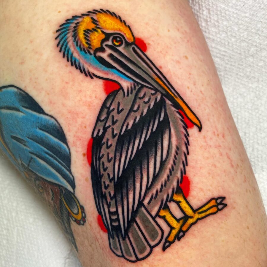 Vibrant Pelican Tattoo with Americana Flair Tattoo on skin