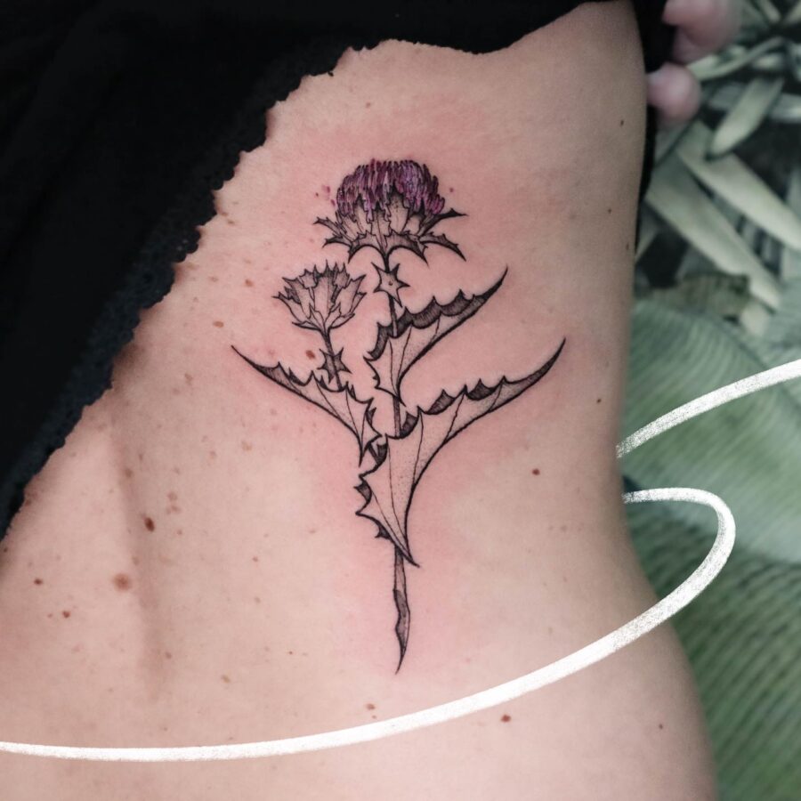 Elegant thistle design adorning the belly area Tattoo on skin