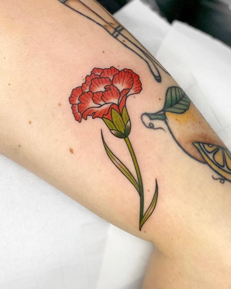 Beautiful vibrant carnation tattoo on the arm Tattoo on skin