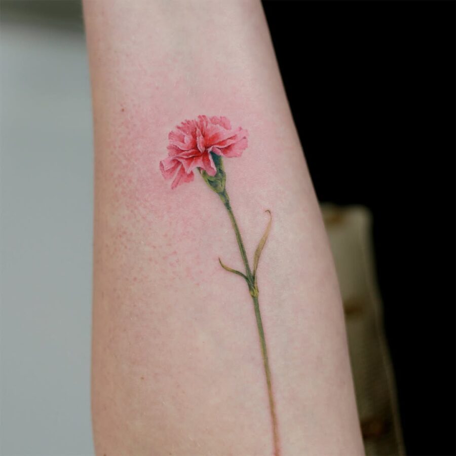 Elegant carnation tattoo in soft pink hues Tattoo on skin
