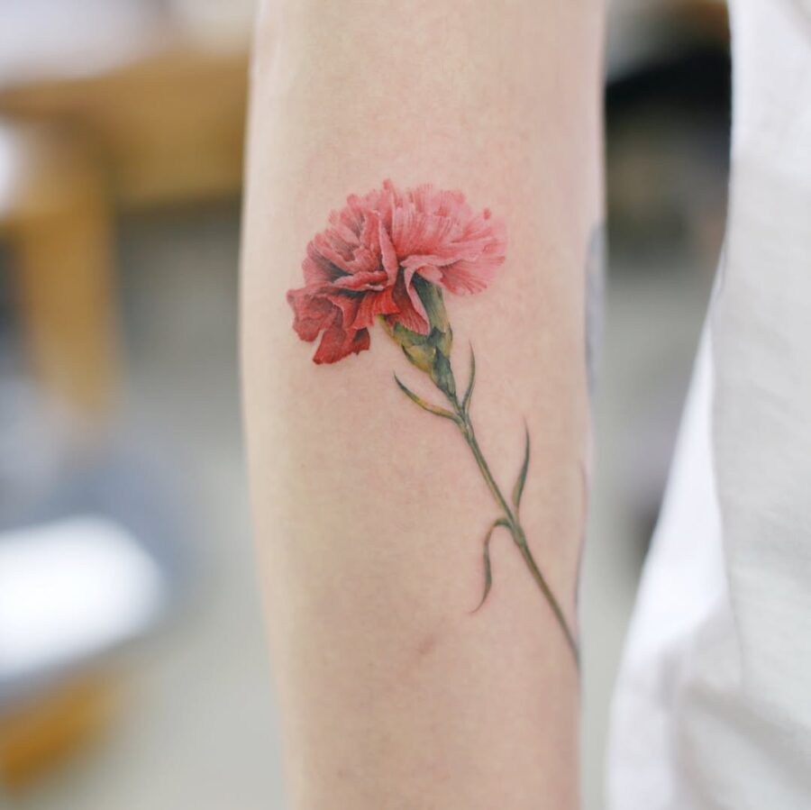 Stunning realistic carnation tattoo on the arm Tattoo on skin